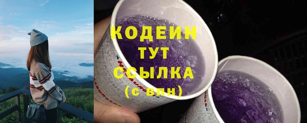 PSILOCYBIN Вязники