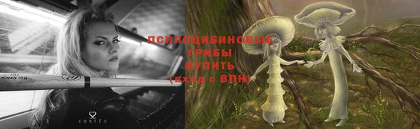 твердый Вязьма