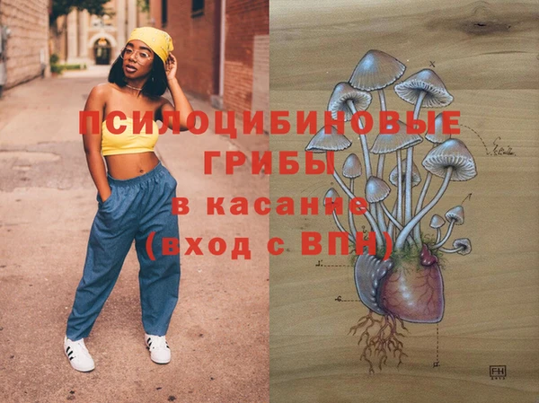 твердый Вязьма