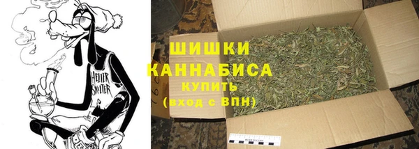 PSILOCYBIN Вязники
