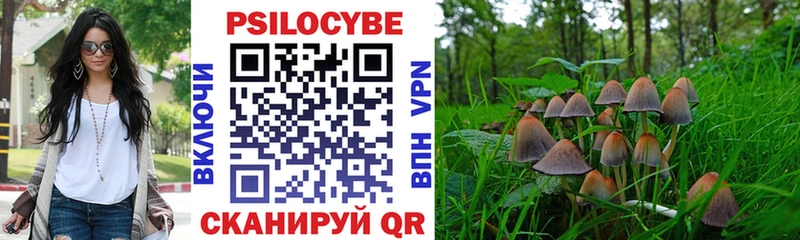 Галлюциногенные грибы прущие грибы  Дудинка 